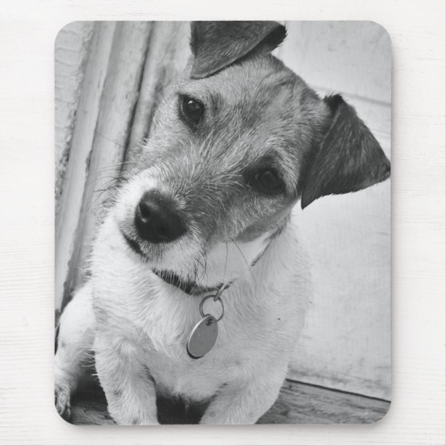Jack Russell Terrier Mouse Pad (Front)