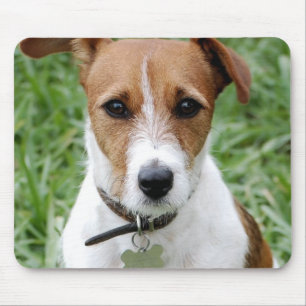 Jack Russell Terrier Mouse Pad