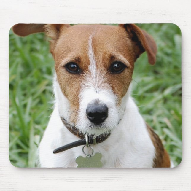 Jack Russell Terrier Mouse Pad (Front)