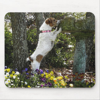 JACK RUSSELL TERRIER MOUSE PAD