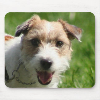 Jack Russell Terrier mousepad