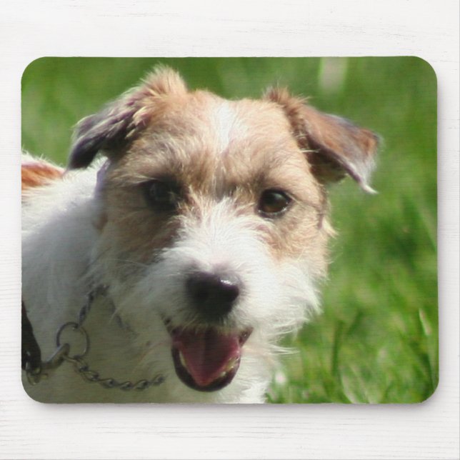 Jack Russell Terrier mousepad (Front)