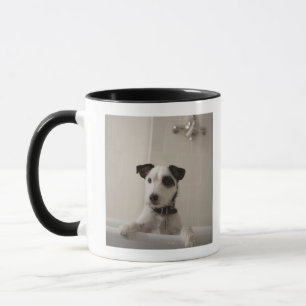 Jack russell terrier. mug