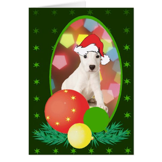 Jack Russell Terrier Ornaments Card