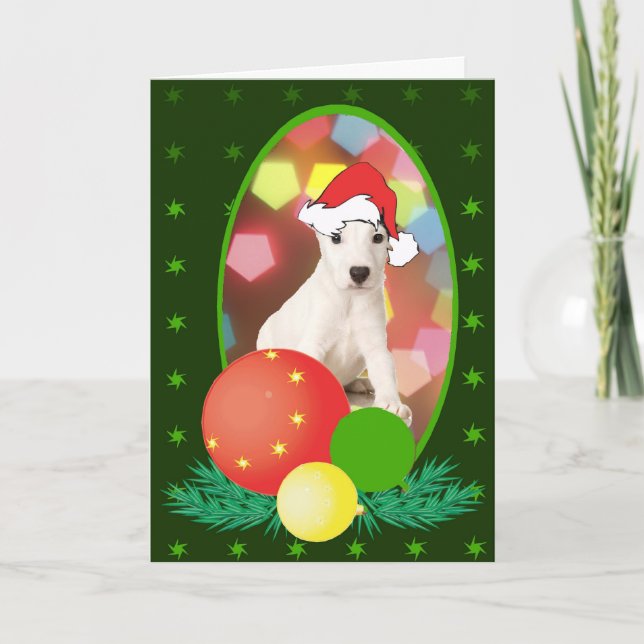 Jack Russell Terrier Ornaments Holiday Card (Front)