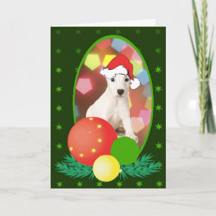 Jack Russell Terrier Ornaments Holiday Card