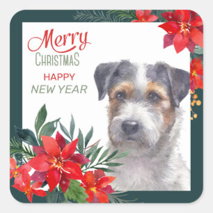 Jack Russell Terrier Poinsettia Border Christmas Square Sticker