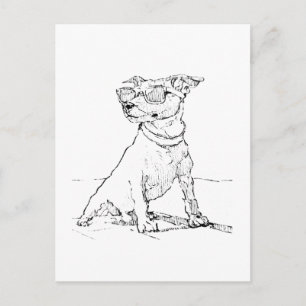Jack Russell Terrier Postcard