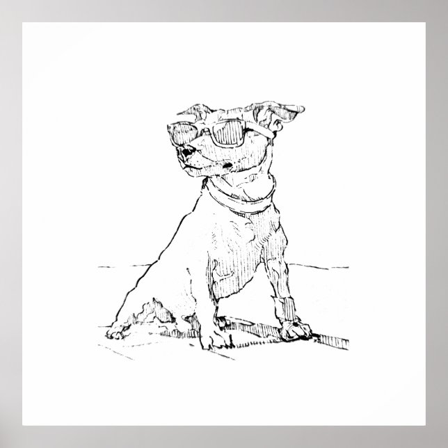 Jack Russell Terrier  Poster (Front)