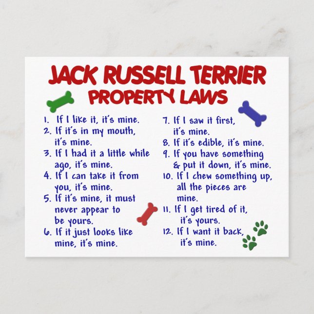 JACK RUSSELL TERRIER Property Laws 2 Postcard (Front)