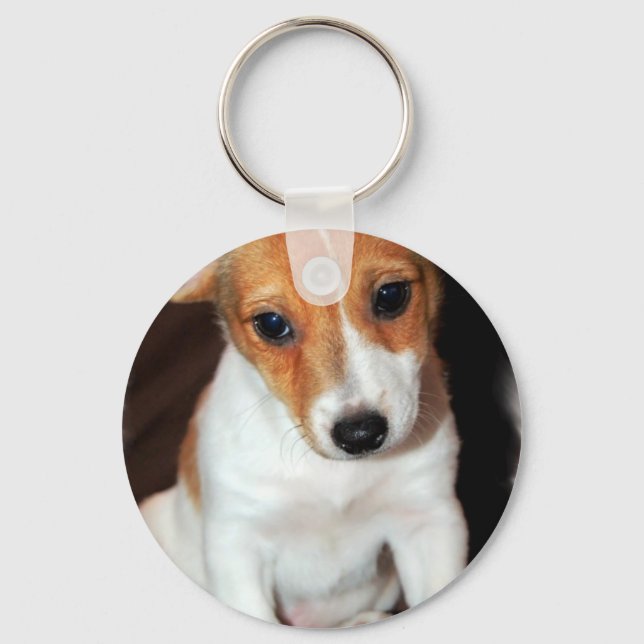 Jack Russell Terrier Puppy Dog  Keychain (Front)