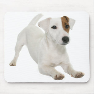 Jack Russell Terrier Puppy Dog Love Mouse Pad