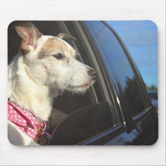 Jack Russell Terrier Ride to the Beach Mousepad