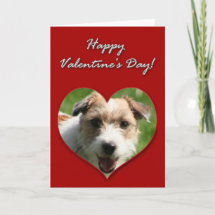 Jack Russell Terrier Valentines Day Card