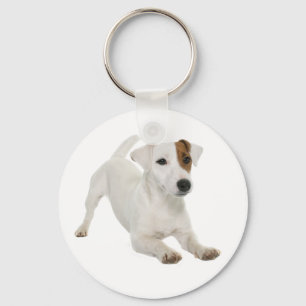 Jack Russell Terrier White And Brown Puppy Dog Keychain