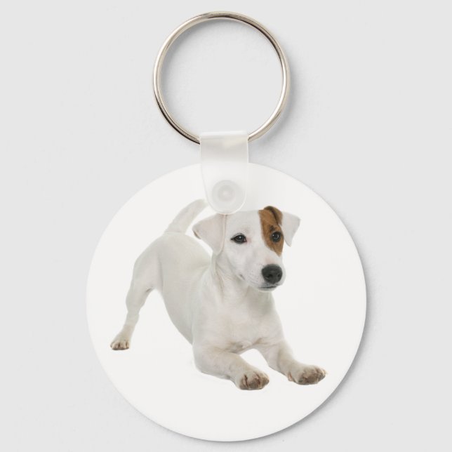 Jack Russell Terrier White And Brown Puppy Dog Keychain (Front)