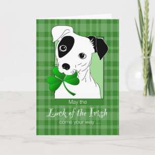Jack Russell Terrier with St. Patrick’s Day Green Card