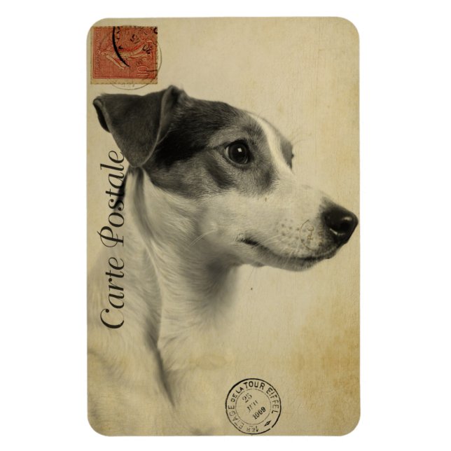 Jack Russell Vintage Postcard Magnet (Vertical)
