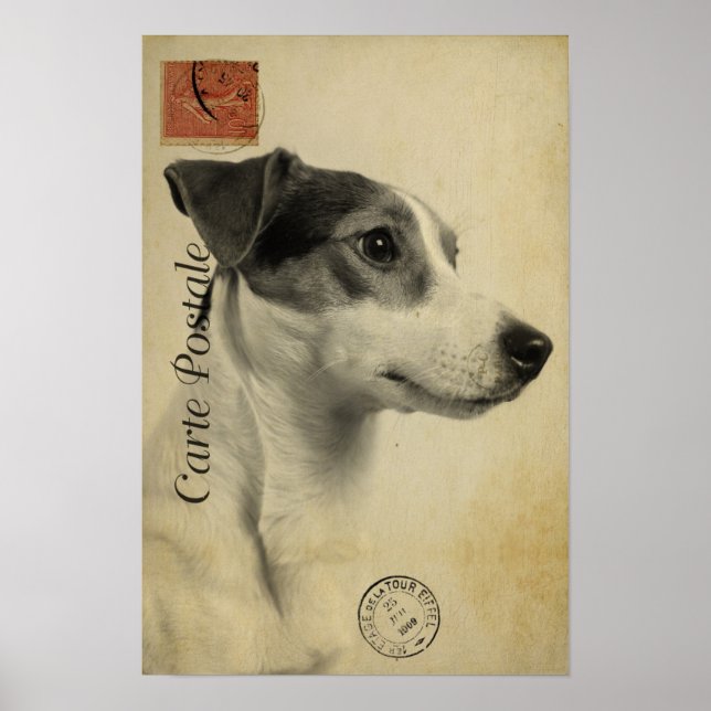 Jack Russell Vintage Postcard Poster (Front)
