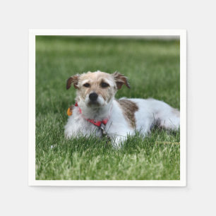 Jack Square Paper Coaster Napkin