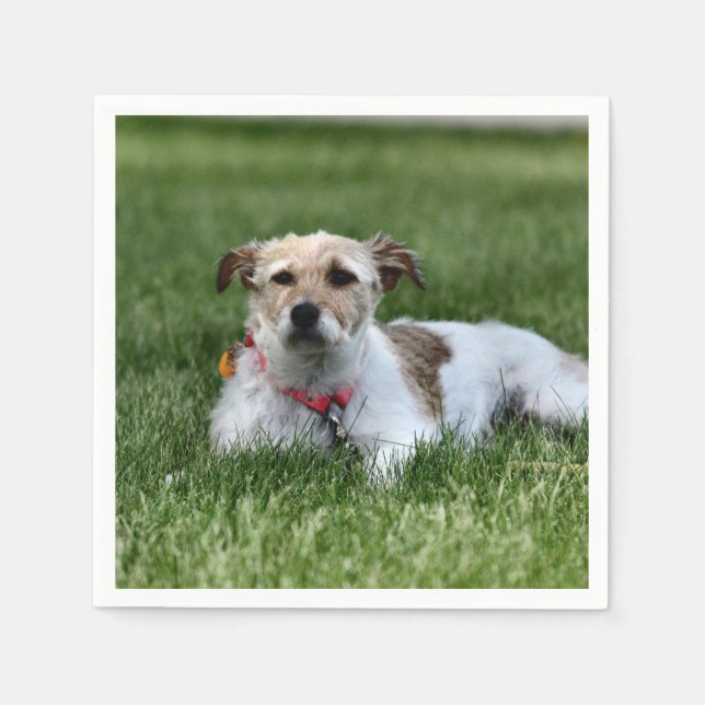 Jack Square Paper Coaster Napkin (Front)