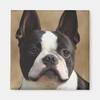 Jack the Boston terrier Magnet