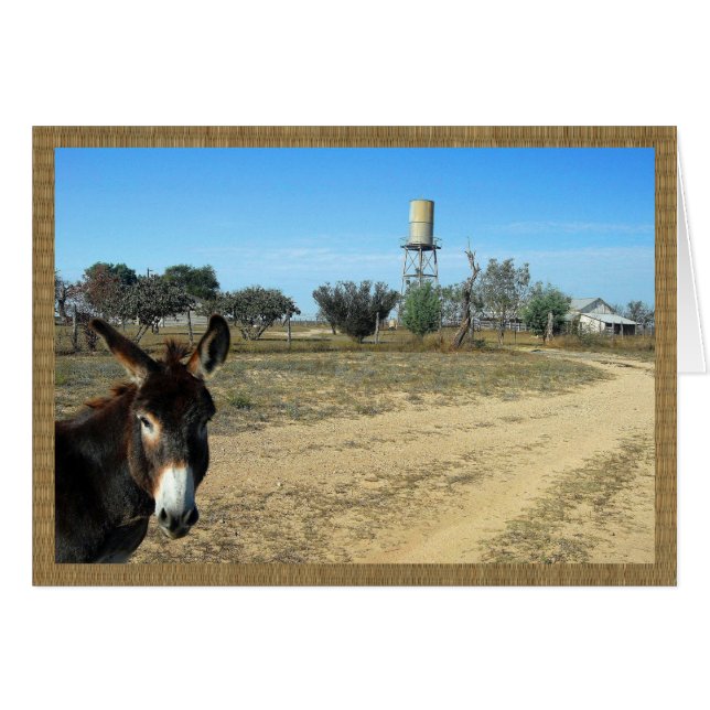 Jack the burro on the ranch (Front Horizontal)