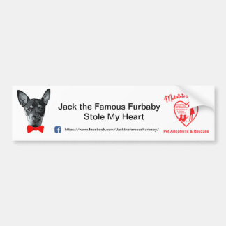 Jack the Famous Furbaby Bumpersticker Bumper Sticker