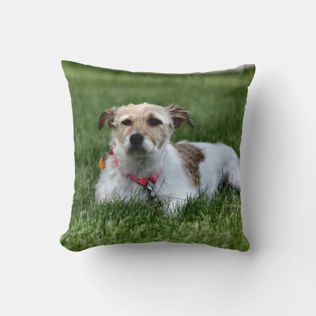 Jack  throw pillow (Front)