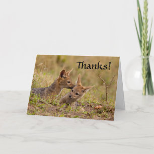 Jackal Cub Thank You Card