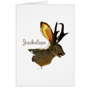 Jackalope