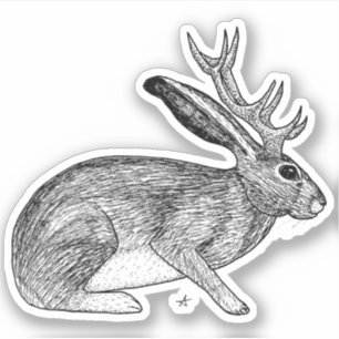 Jackalope