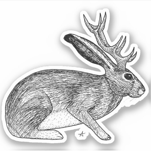 Jackalope (Front)
