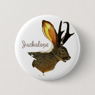 Jackalope 2 Inch Round Button