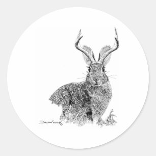 Jackalope Classic Round Sticker