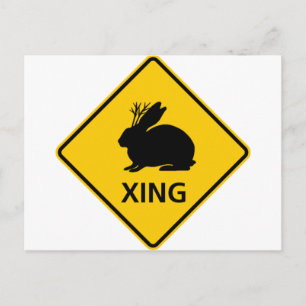 Jackalope Crossing Highway Sign Postcard