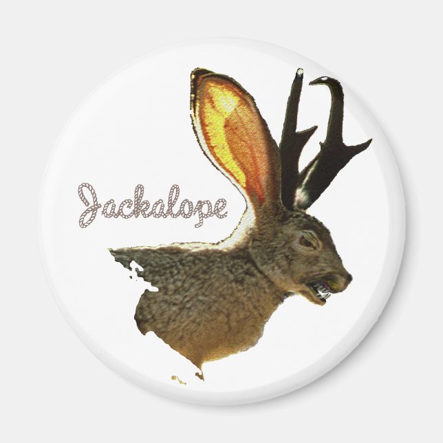 Jackalope Magnet (Front)