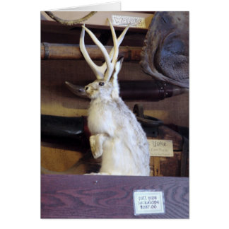 Jackalope normal $287,00