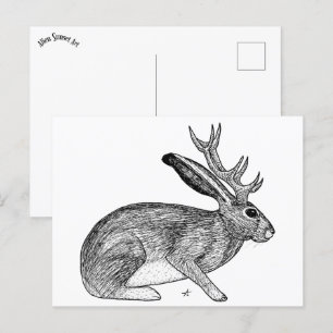 Jackalope Postcard