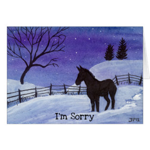 Jackass Apology