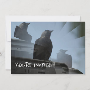 Jackdaw Bird Invitation