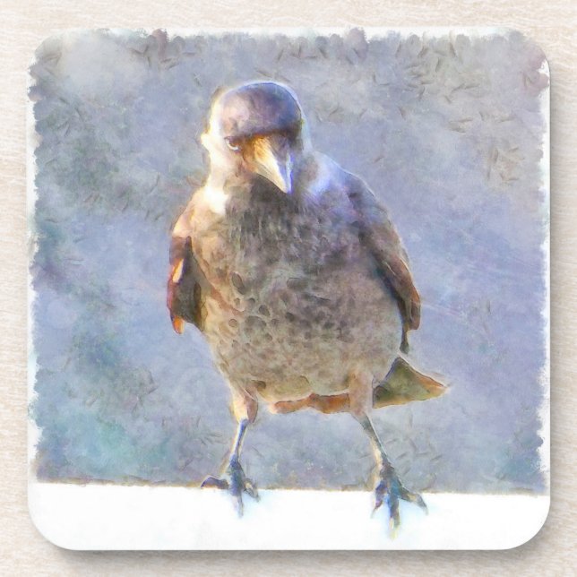 Jackdaw Watercolor Coaster (Front)