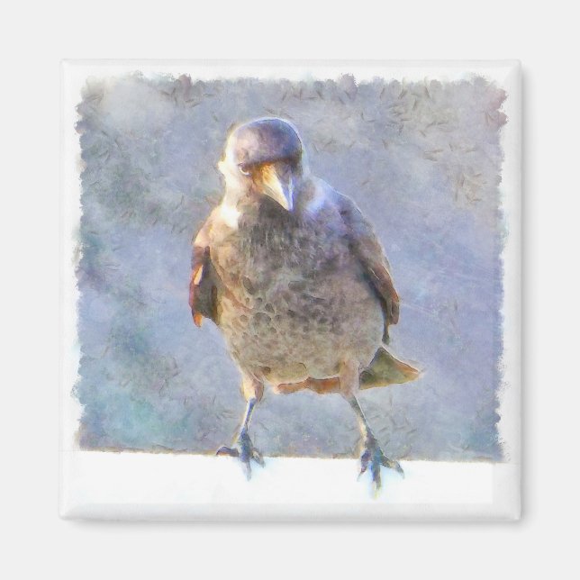 Jackdaw Watercolor Magnet (Front)