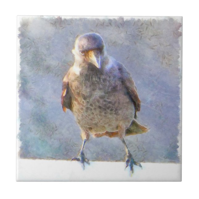 Jackdaw Watercolor Tile (Front)