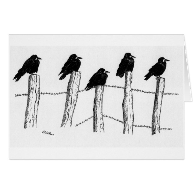 Jackdaws (Front Horizontal)