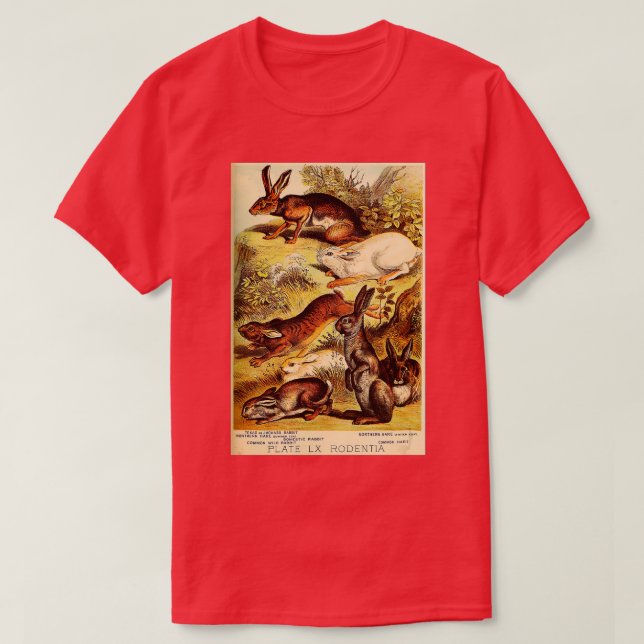 Jackrabbit - Hare - Wild Rabbit - Vintage Lithogra T-Shirt (Design Front)