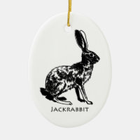 Jackrabbit Illustration