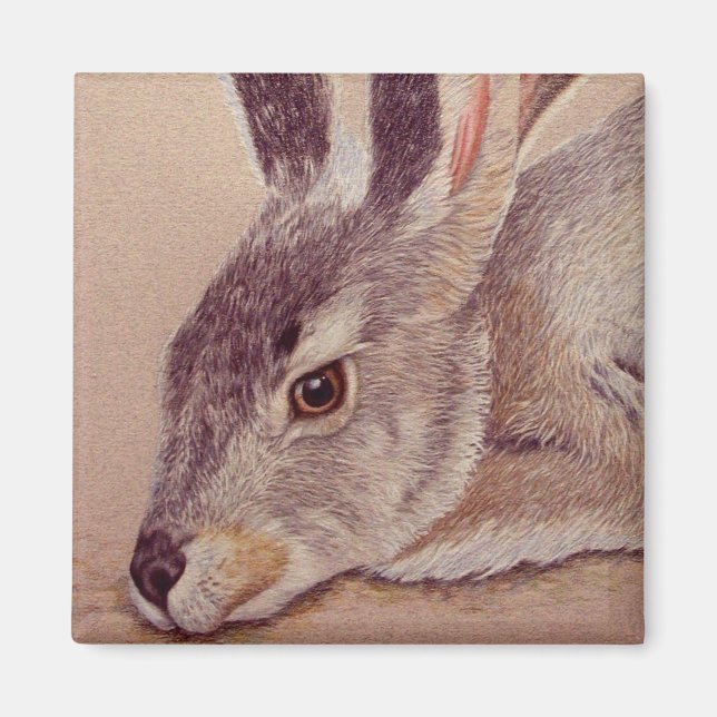 Jackrabbit Magnet (Front)