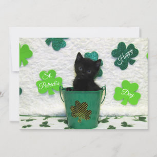 Jack's St. Patrick's Day  Cat/ Kitten  - Flat Card