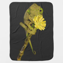 Jackson’s Chameleon Baby Blanket
